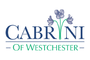 Cabrini of Westchester Goes Live with Scandent